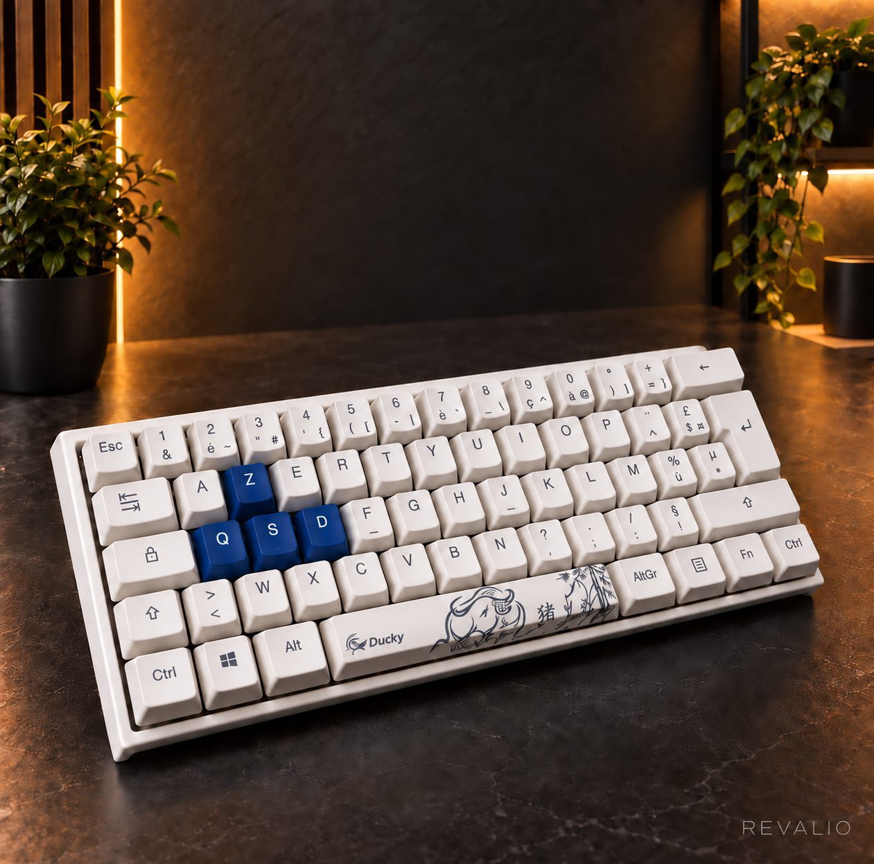 Clavier mécanique Ducky One 2 Mini RGB 60% AZERTY – Blanc